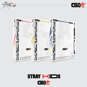 Stray Kids - 1ST ALBUM [GO LIVE] (Random Ver.)